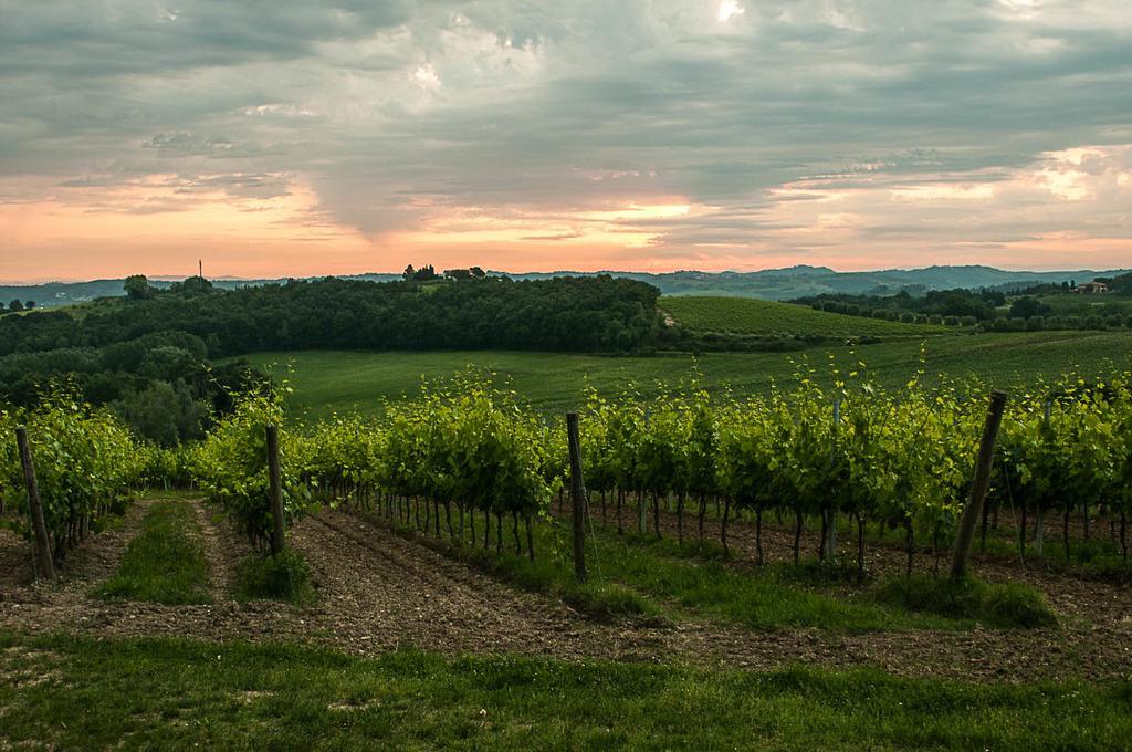 Agriturismo Colleverde Selvatelle Luaran gambar