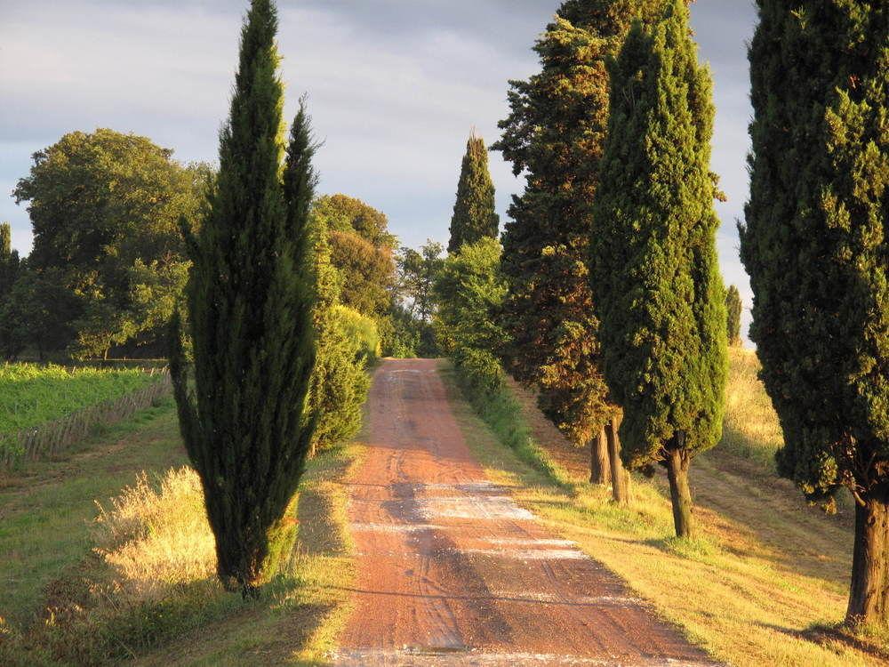 Agriturismo Colleverde Selvatelle Luaran gambar