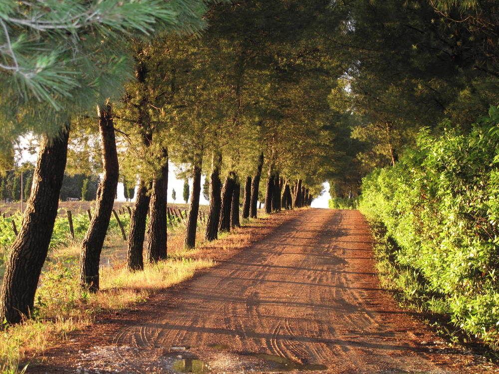 Agriturismo Colleverde Selvatelle Luaran gambar
