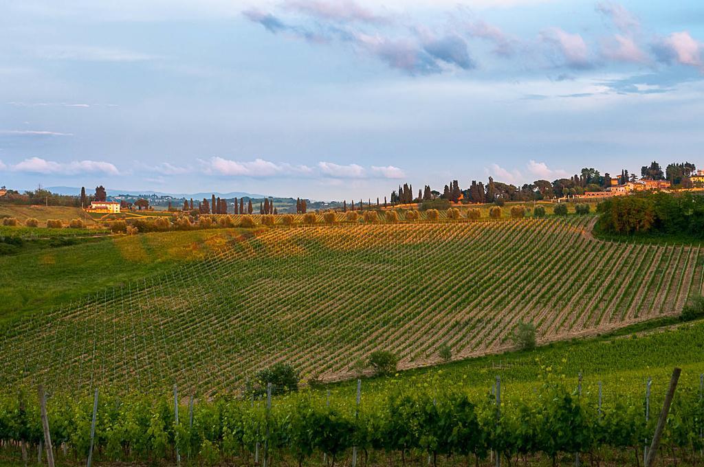 Agriturismo Colleverde Selvatelle Luaran gambar