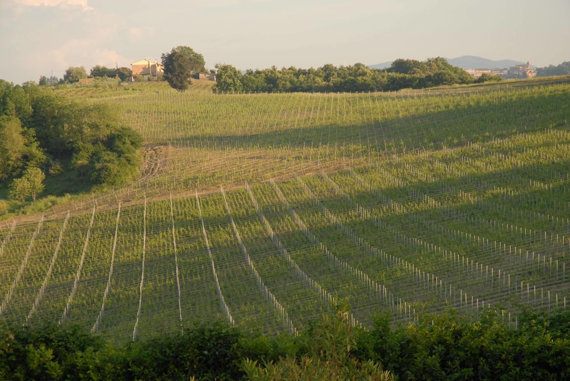 Agriturismo Colleverde Selvatelle Luaran gambar